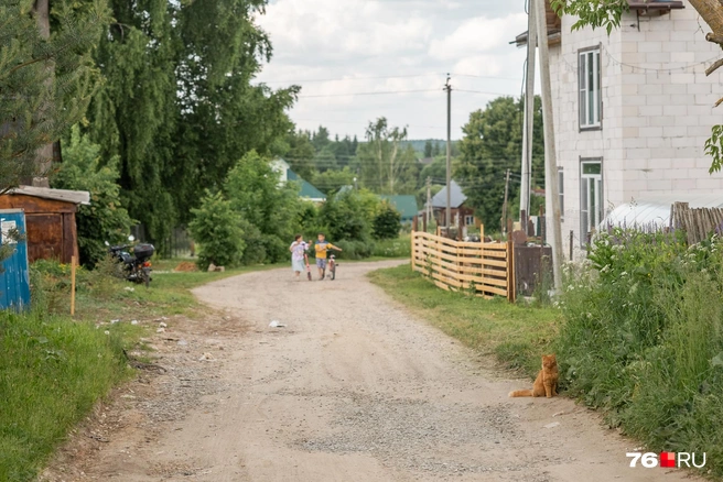 В селе ощущается спокойная, безмятежная атмосфера | Источник: Александр Куренной / 76.RU