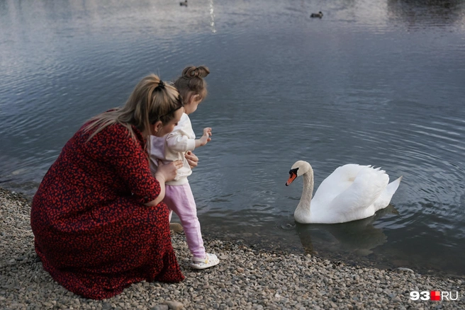 Пока прожиточный минимум на детей составляет 17,2 тысячи рублей | Источник: Дарья Паращенко / 93.RU