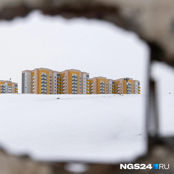 Подглядываем за соседями | Источник: Мария Ленц / NGS24.RU