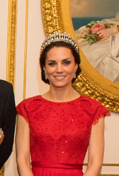 На дипломатическом приеме, 8 декабря 2016 года