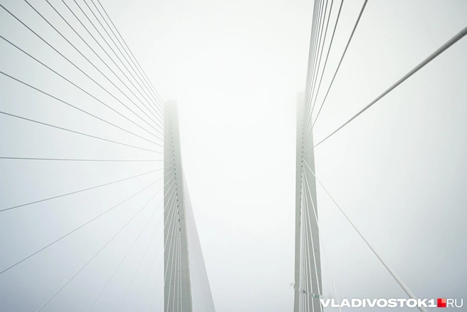 Устроили опасную съемку днем в субботу | Источник: Елена Буйвол / VLADIVOSTOK1.RU