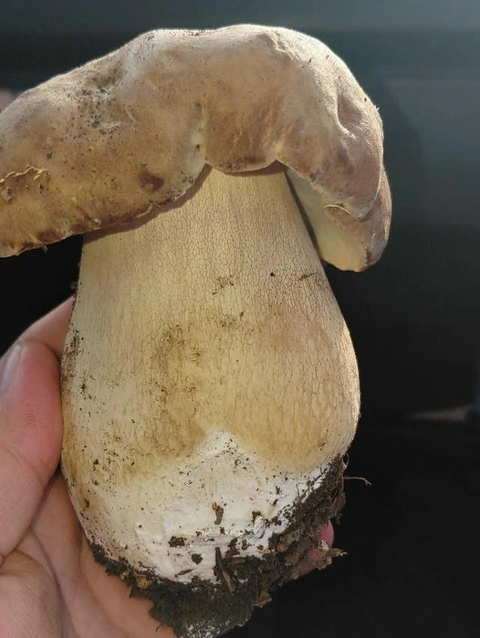 Источник: Наталия Саранцева