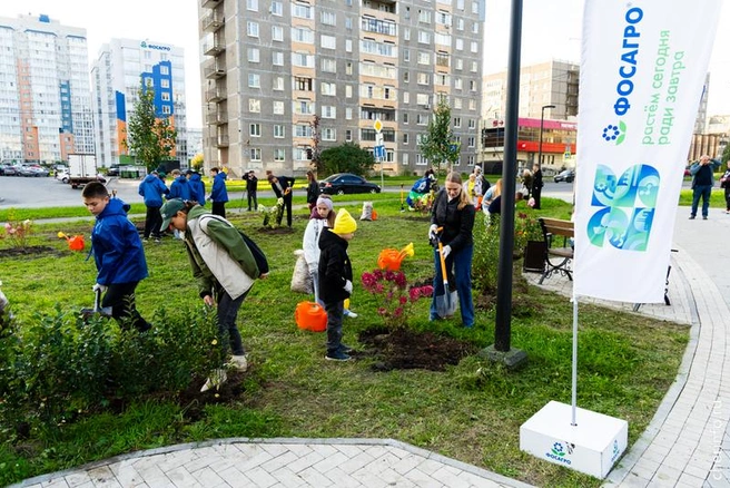 Источник: st.cherinfo.ru