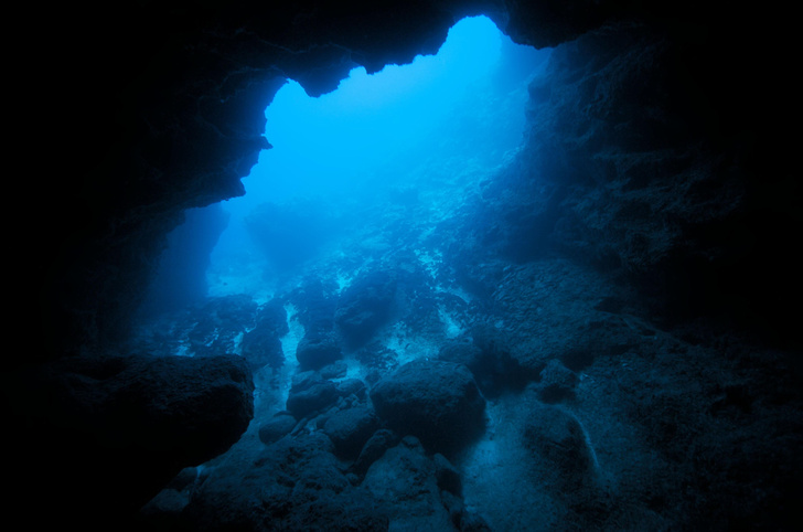 Японские ученые опустились на дно Тихого океана и сделали страшное открытие — что они там обнаружили?