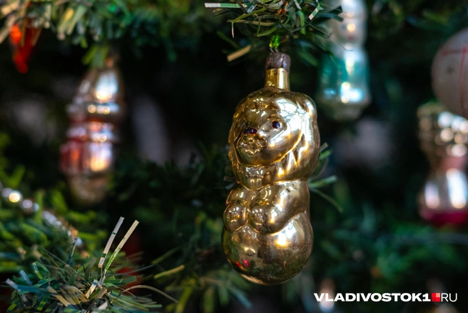Источник: Елена Буйвол / VLADIVOSTOK1.RU