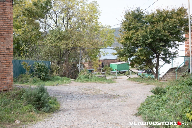 Источник: Елена Буйвол / VLADIVOSTOK1.RU