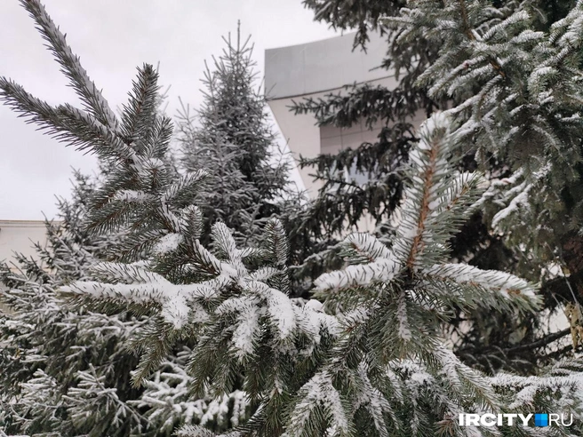 Резко захотелось Новый год | Источник: Алина Ринчино / IRCITY.RU