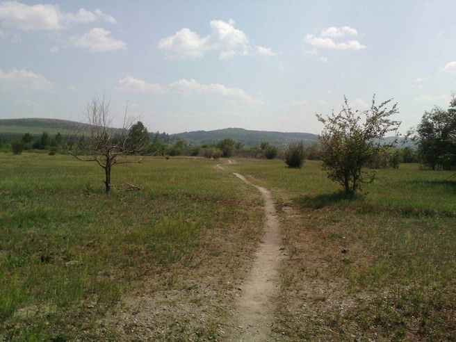 Источник: Анна Луговская