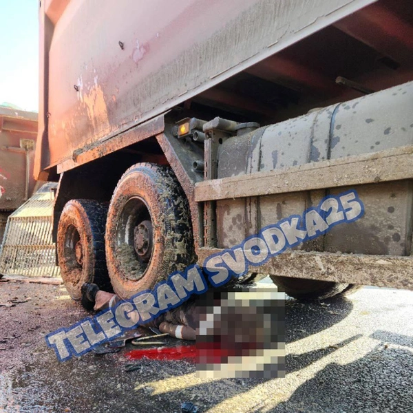 Источник: «Svodka25 l Новости Приморья и Владивостока» / T.me