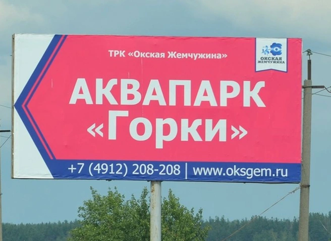 СК отреагировал на инцидент с девятилетним мальчиком в «Окской жемчужине» | ya62.ru