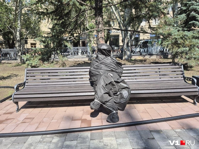 По проекту, на одной из скамеек в сквере должен читать газету «Огонёк» Володя Шарапов. Может быть, это именно он. | Источник: Ирина Яковлева / V1.RU