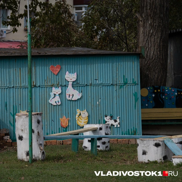 Источник: Елена Буйвол / VLADIVOSTOK1.RU
