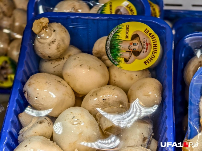 Эти грибы в вакуумной упаковке | Источник: Булат Салихов / UFA1.RU