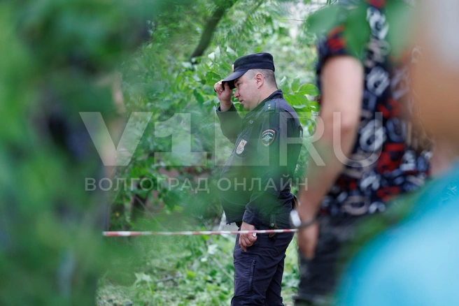 На удивление сотрудники правоохранительных органов не стали разгонять людей | Источник: Алексей Волхонский / V1.RU