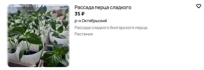 Источник: Avito.ru