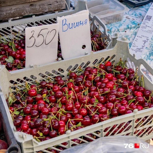 Продается и вишня. 350 рублей за килограмм | Источник: Кирилл Поверинов / 76.RU