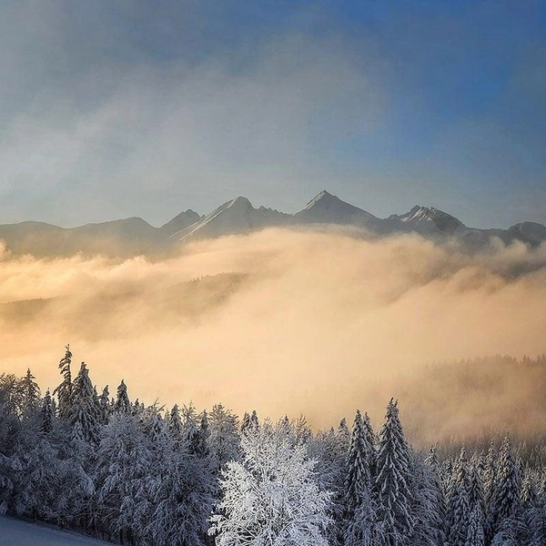 Зимнее утро в Польше | Источник: Dominika Koszowska / Standard Chartered Weather Photographer of the Year 2025