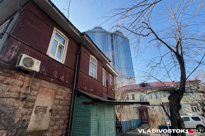 Источник: Елена Буйвол / VLADIVOSTOK1.RU