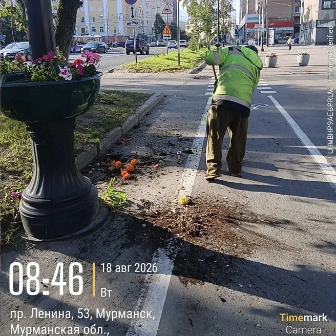 Источник: Иван Лебедев / Vk.com
