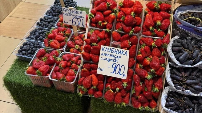 Пока что клубника — недешевое удовольствие | Источник: Иветта Авраамова / MSK1.RU