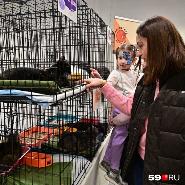 Источник: Василина Любимова / 59.RU 