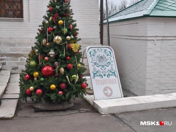Источник: Серафима Путиева / MSK1.RU