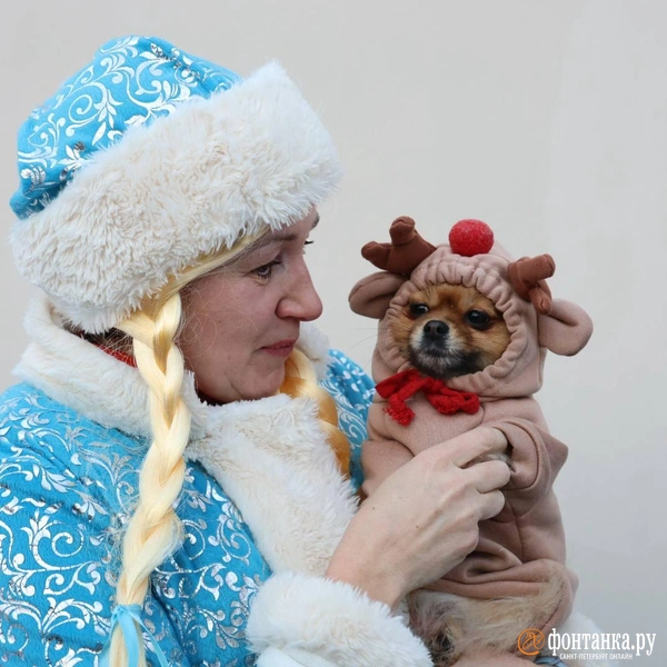 Источник: Валентин Егоршин / «Фонтанка.ру»