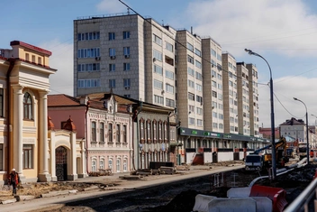 Несколько деревьев были на протяжении всего перекрытого участка | Источник: Ирина Шарова / 72.RU