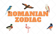 Римский гороскоп: какая ты птица по знаку зодиака