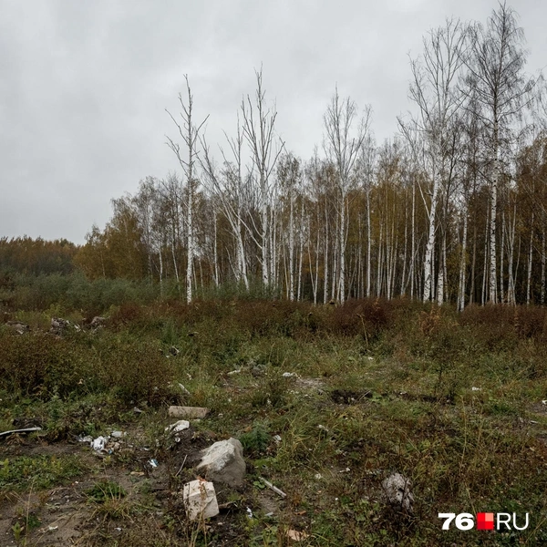 На земле валяется все подряд  | Источник: Александр Куренной / 76.RU