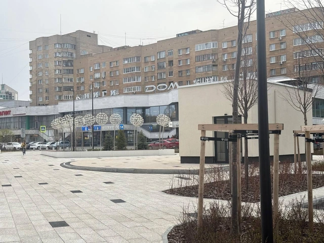 Инсталляции в виде одуванчиков светятся ночью | Источник: Анастасия Баранова / E1.RU