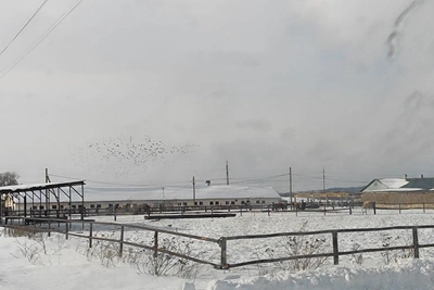 Вымирание деревень в Башкирии связали с исчезновением колхозов