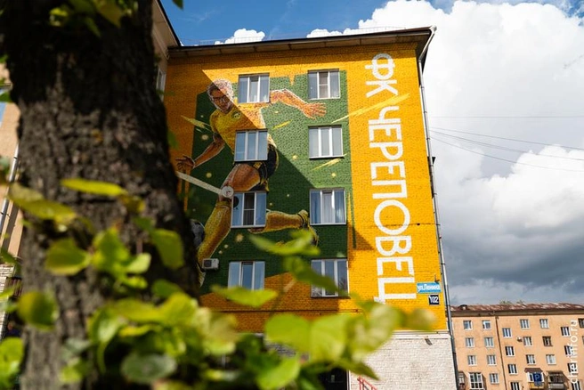 Источник: st.cherinfo.ru