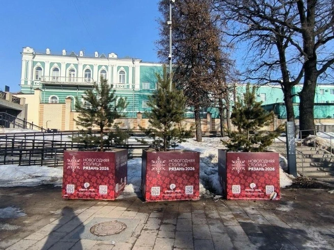 Вокруг практически растаял снег | Источник: Комментарии губернатора Павла Малкова