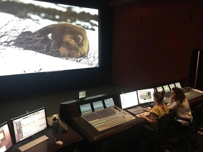 Работа над монтажем фильма | Источник: студия LESFILM