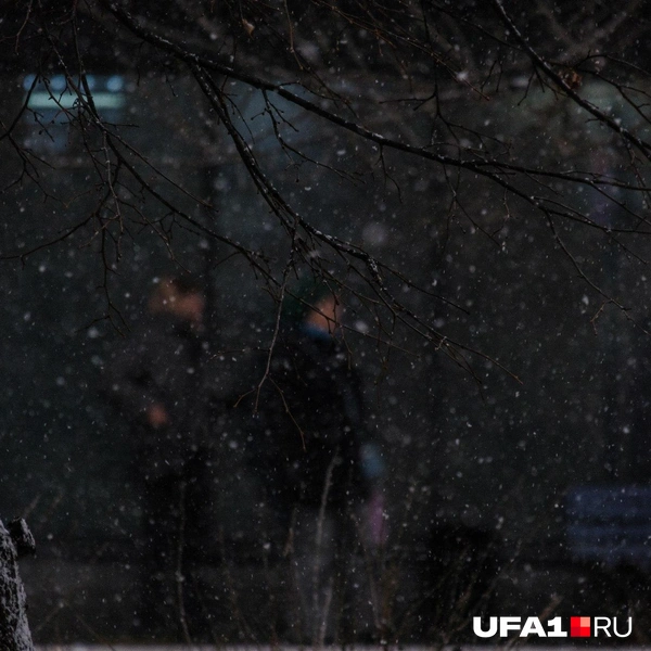 Источник: Булат Салихов / UFA1.RU