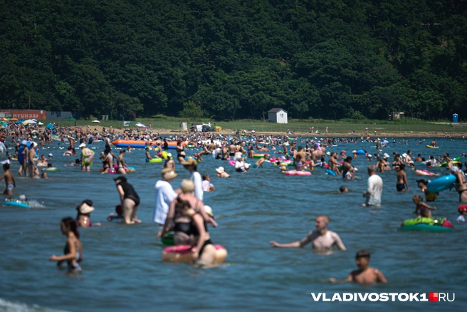Источник: Елена Буйвол / VLADIVOSTOK1.RU