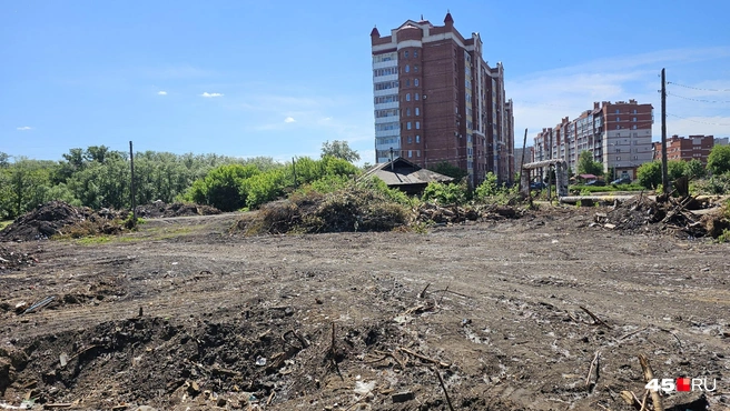 В Кургане снесли дома на улице Карельцева | Источник: Дарья Никитченко / 45.RU