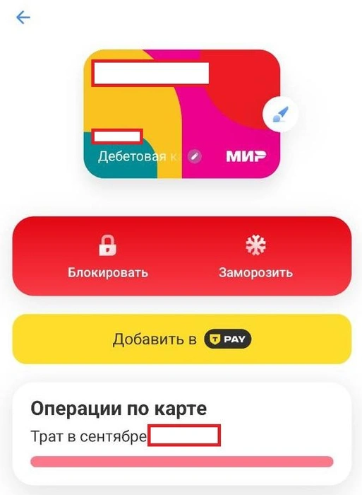 Источник: Екатерина Железнова / 93.RU