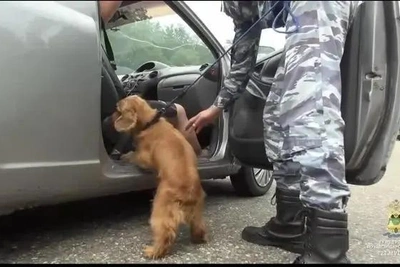 На посту «Магри» в Сочи изъяли наркотики у двух человек
