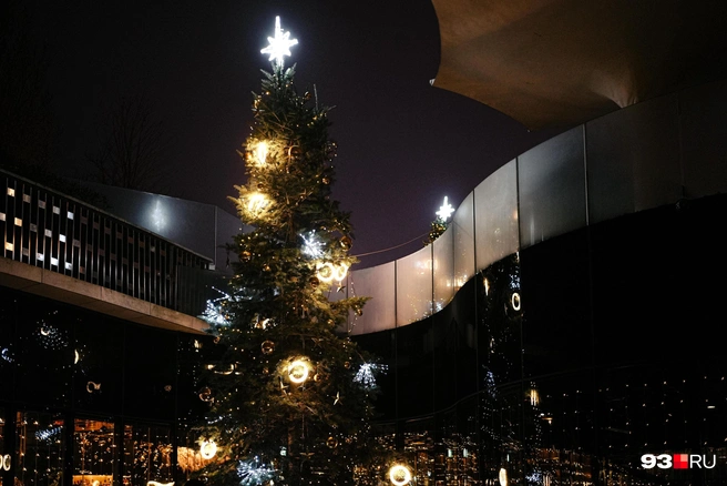 Ёлки возле Cafe Krasnodar | Источник: Дарья Паращенко / 93.RU