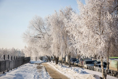 Синоптики: морозы в области ослабнут после 20 января