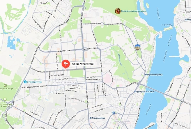 Улица Хользунова на карте Воронежа | Источник: Яндекс Карты / yandex.ru/maps