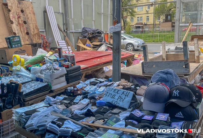 Источник: Елена Буйвол / VLADIVOSTOK1.RU