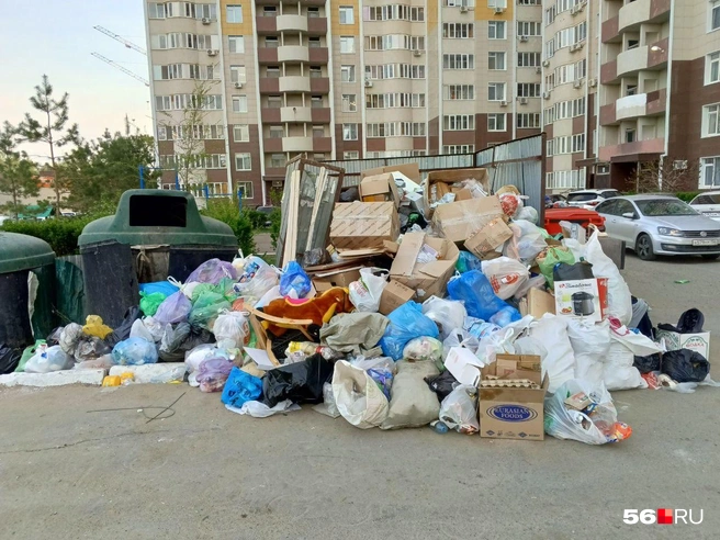 Новый регоператор по вывозу мусора появится в Оренбуржье не раньше июня | Источник: Владислав Митрошин / 56.RU