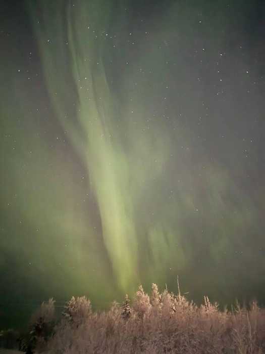 Поселок Сосновка, Белоярский район  | Источник: «Aurora Hunters» / T.me