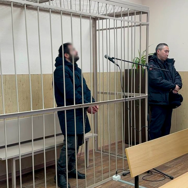 Источник: объединенная пресс-служба судов Петербурга