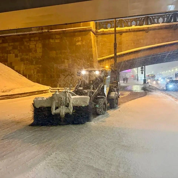 Источник: Комитет по благоустройству