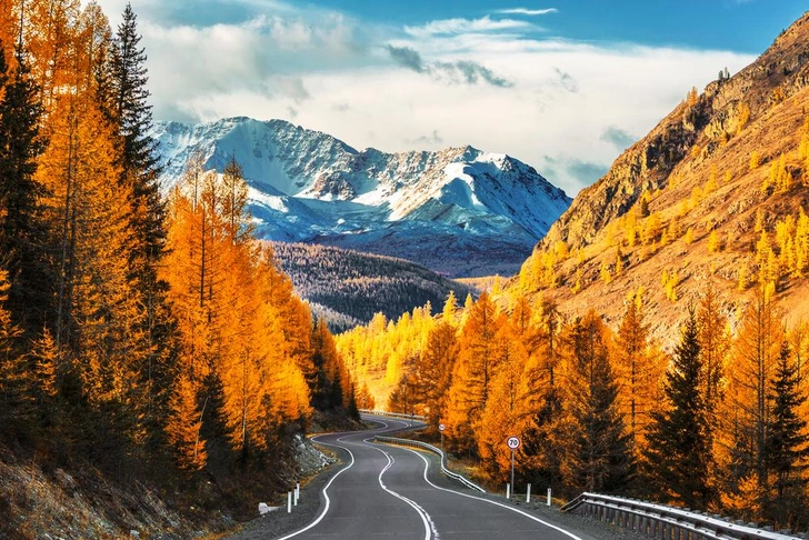 Источник: volkova natalia/Shutterstock/Fotodom.ru