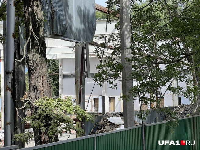 Стадион пустовал несколько лет | Источник: Андрей Бирюков / UFA1.RU